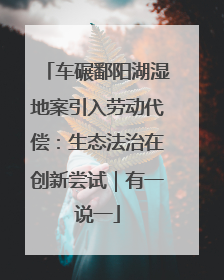 车碾鄱阳湖湿地案引入劳动代偿：生态法治在创新尝试｜有一说一