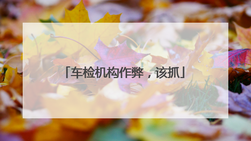 车检机构作弊，该抓