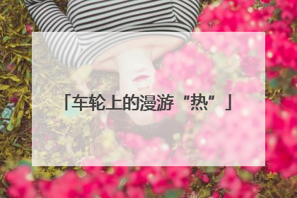 车轮上的漫游“热”