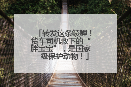 转发这条鲮鲤！货车司机救下的“胖宝宝”，是国家一级保护动物！