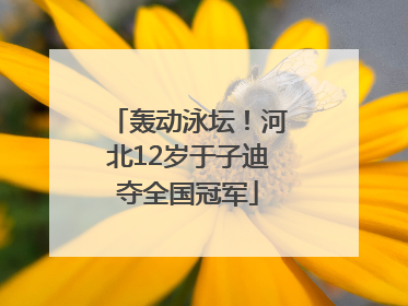轰动泳坛！河北12岁于子迪夺全国冠军