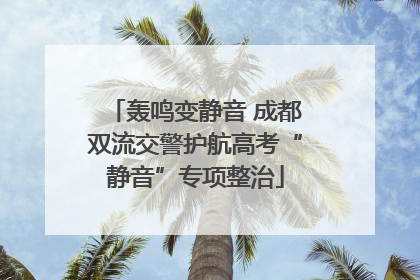 轰鸣变静音 成都双流交警护航高考“静音”专项整治