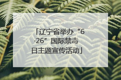 辽宁省举办“6·26”国际禁毒日主题宣传活动