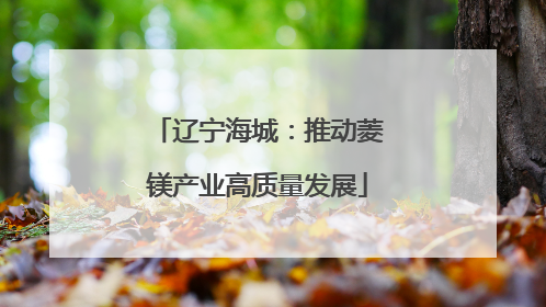 辽宁海城：推动菱镁产业高质量发展