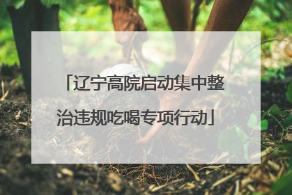 辽宁高院启动集中整治违规吃喝专项行动