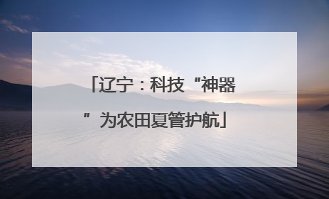 辽宁：科技“神器”为农田夏管护航
