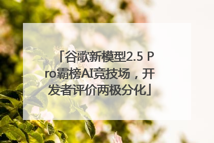 谷歌新模型2.5 Pro霸榜AI竞技场，开发者评价两极分化