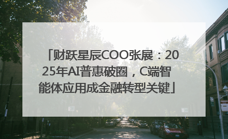 财跃星辰COO张展：2025年AI普惠破圈，C端智能体应用成金融转型关键