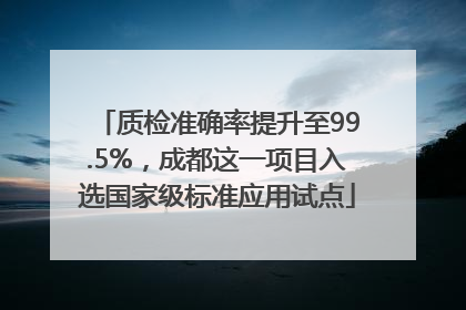 质检准确率提升至99.5%，成都这一项目入选国家级标准应用试点