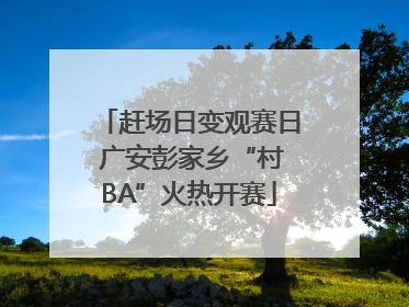 赶场日变观赛日 广安彭家乡“村BA”火热开赛