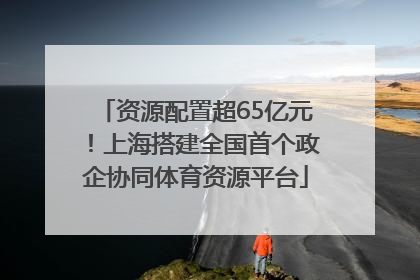资源配置超65亿元！上海搭建全国首个政企协同体育资源平台