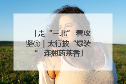 走“三北” 看攻坚①|太行披“绿装” 连翘药茶香