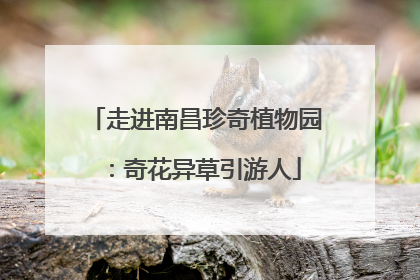 走进南昌珍奇植物园：奇花异草引游人