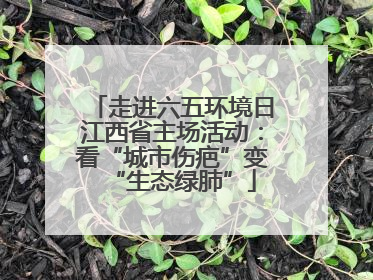 走进六五环境日江西省主场活动：看“城市伤疤”变“生态绿肺”