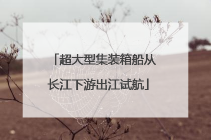超大型集装箱船从长江下游出江试航