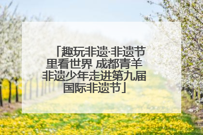趣玩非遗·非遗节里看世界 成都青羊非遗少年走进第九届国际非遗节