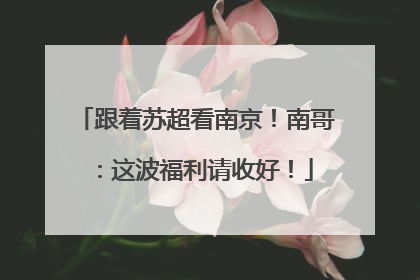 跟着苏超看南京！南哥：这波福利请收好！