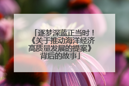 逐梦深蓝正当时！《关于推动海洋经济高质量发展的提案》背后的故事