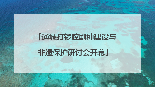 通城打锣腔剧种建设与非遗保护研讨会开幕