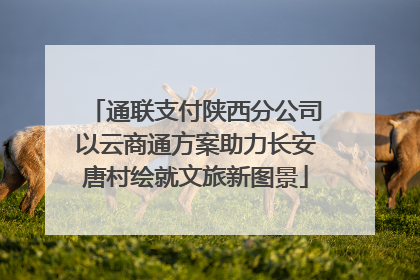 通联支付陕西分公司以云商通方案助力长安唐村绘就文旅新图景