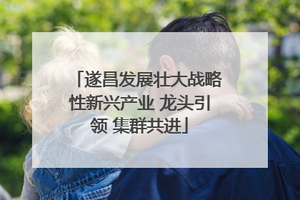 遂昌发展壮大战略性新兴产业 龙头引领 集群共进