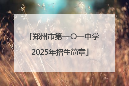 郑州市第一〇一中学2025年招生简章