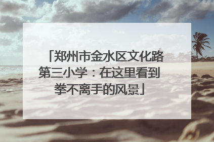 郑州市金水区文化路第三小学：在这里看到拳不离手的风景