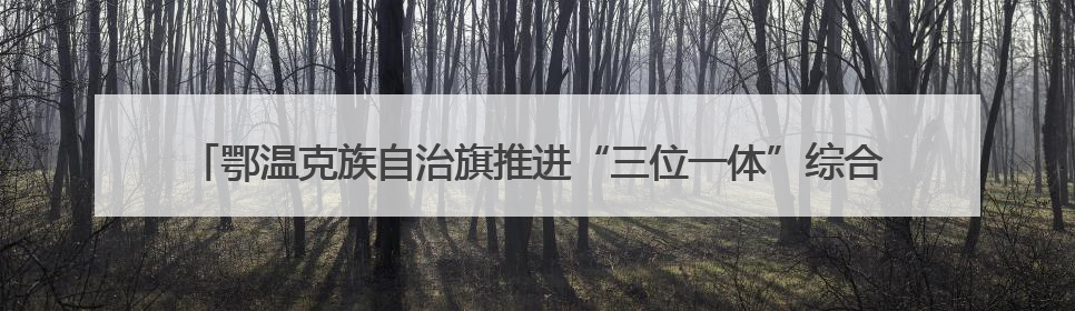 鄂温克族自治旗推进“三位一体”综合合作组织体系建设 牧区改革成果丰硕