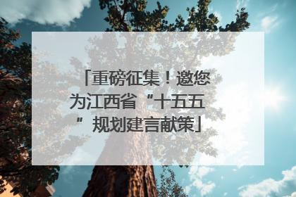 重磅征集！邀您为江西省“十五五”规划建言献策
