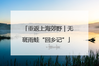 重返上海郊野｜无斑雨蛙“回乡记”