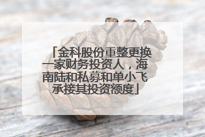 金科股份重整更换一家财务投资人，海南陆和私募和单小飞承接其投资额度