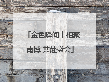 金色瞬间丨相聚南博 共赴盛会