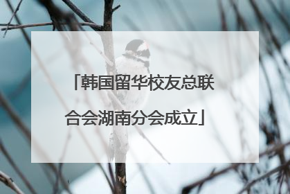 韩国留华校友总联合会湖南分会成立