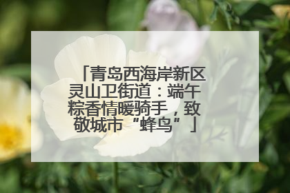 青岛西海岸新区灵山卫街道：端午粽香情暖骑手，致敬城市“蜂鸟”