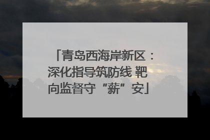 青岛西海岸新区：深化指导筑防线 靶向监督守“薪”安