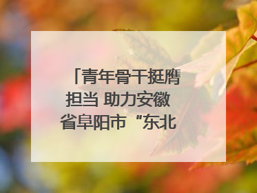 青年骨干挺膺担当 助力安徽省阜阳市“东北大外环”建设