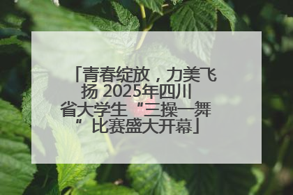 青春绽放，力美飞扬 2025年四川省大学生“三操一舞”比赛盛大开幕