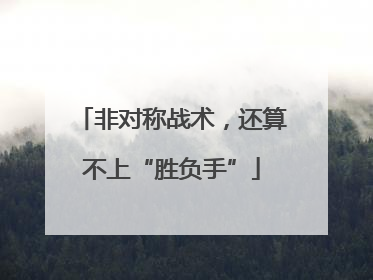非对称战术，还算不上“胜负手”