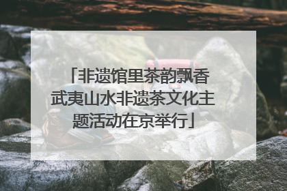 非遗馆里茶韵飘香 武夷山水非遗茶文化主题活动在京举行
