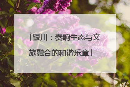 银川：奏响生态与文旅融合的和谐乐章
