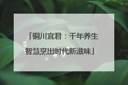 铜川宜君：千年养生智慧烹出时代新滋味