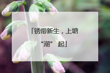 锈带新生，上塘 “潮” 起
