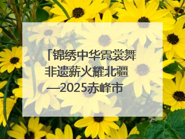 锦绣中华霓裳舞 非遗薪火耀北疆—2025赤峰市“文化和自然遗产日”非遗宣传展示活动纪实