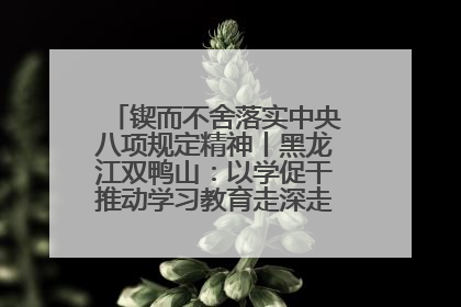 锲而不舍落实中央八项规定精神丨黑龙江双鸭山：以学促干推动学习教育走深走实 从小事入手写好“民生答卷”