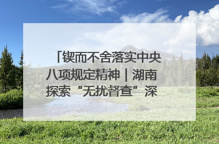 锲而不舍落实中央八项规定精神｜湖南探索“无扰督查”深化基层减负