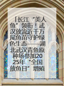 长江“美人鱼”领衔！武汉放流近千万尾鱼苗守护绿色生态——湖北武汉青鱼原种场参加2025年“全国放鱼日”增殖放流活动
