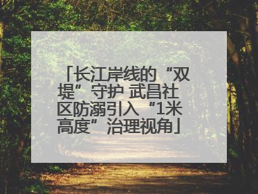 长江岸线的“双堤”守护 武昌社区防溺引入“1米高度”治理视角