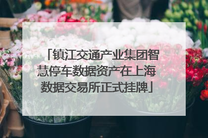 镇江交通产业集团智慧停车数据资产在上海数据交易所正式挂牌
