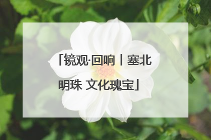镜观·回响丨塞北明珠 文化瑰宝