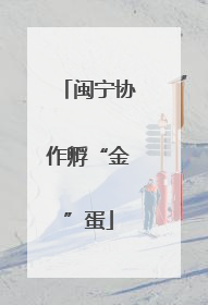 闽宁协作孵“金”蛋